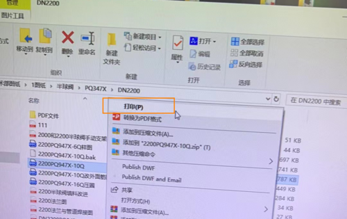 CAD雙擊DWG圖紙為什么是打印